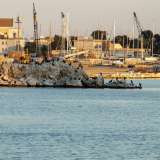 ...mentre al centro della baia si staglia il predetto isolotto: un cumulo di massi che gabbiani e cormorani hanno deciso di �occupare�, quasi fosse l�ultimo baluardo contro quei lavori che stanno distruggendo per sempre la loro casa